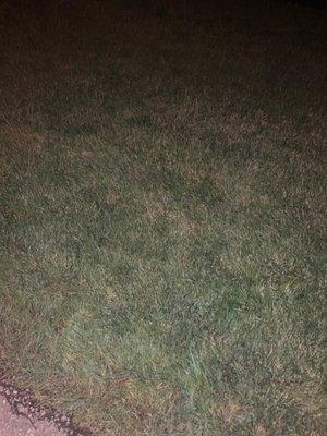 Photo of Craigory C.