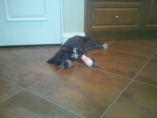 photo of Sherrell S.