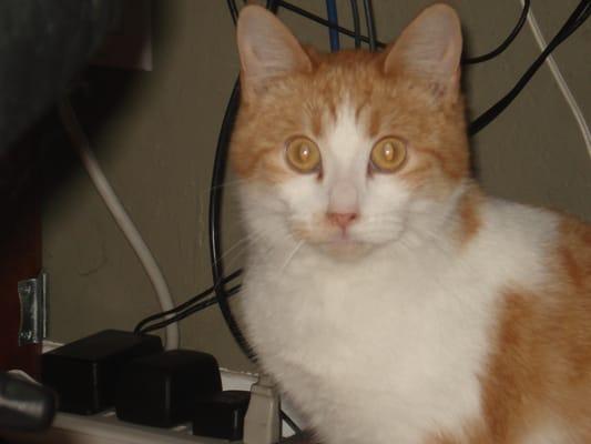 photo of Brigitte R.