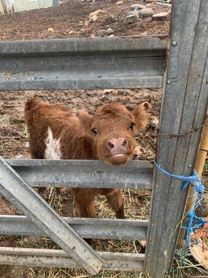 photo of Mitchell B.