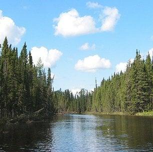 Photo of Tributary Review S.