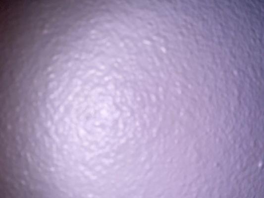 Photo of Hi B.