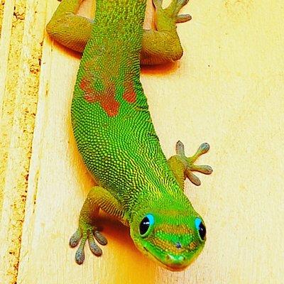 photo of Kimberly S.