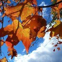 photo of Veronika M.