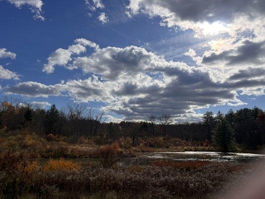 photo of Christine D.