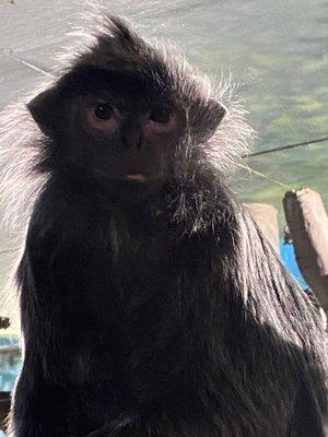 Photo of Candace H.
