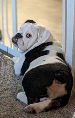 photo of Kathrine M.