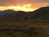 photo of Rosemarie M.