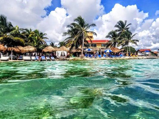 photo of Patricia K.