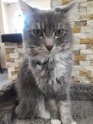 Photo of Kei E.