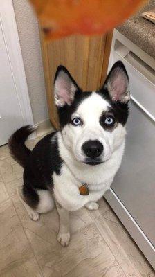 photo of Michelle W.