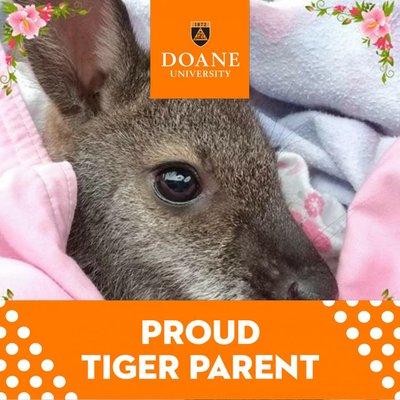 photo of Michelle F.