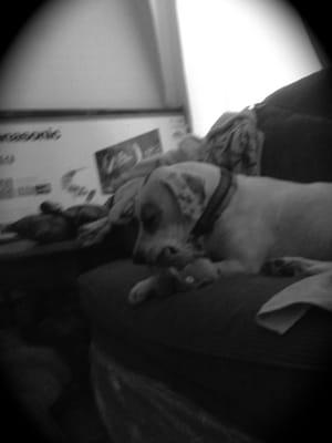 photo of Samantha F.