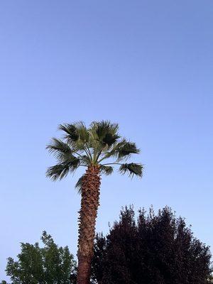 photo of Vikachka B.