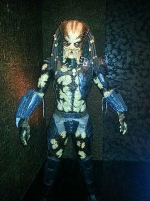 Photo of Robby R.