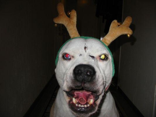 Photo of jaymz j.