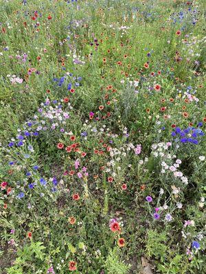 photo of Christina M.