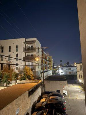 photo of Alexander F.