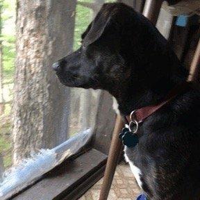 photo of Michaela W.