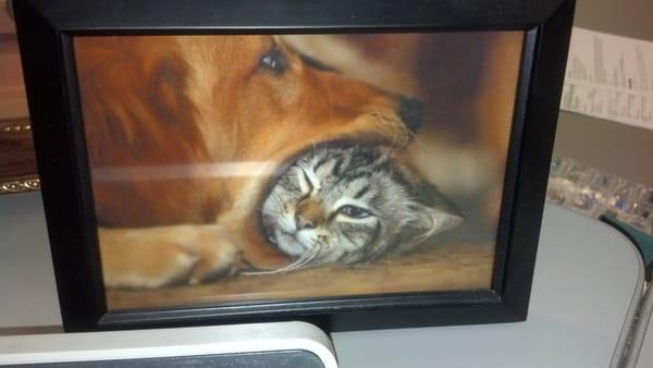 photo of CarlaRose H.