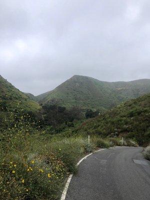 photo of Cheyenne T.