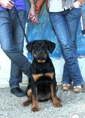 Photo of Rhiannon H.