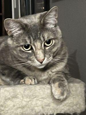 Photo of Ardyn L.