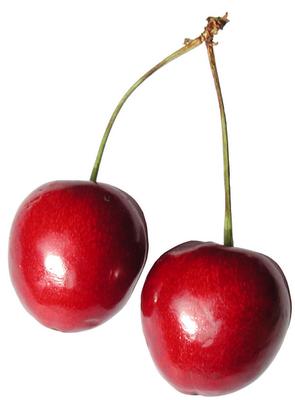 photo of Michelle W.