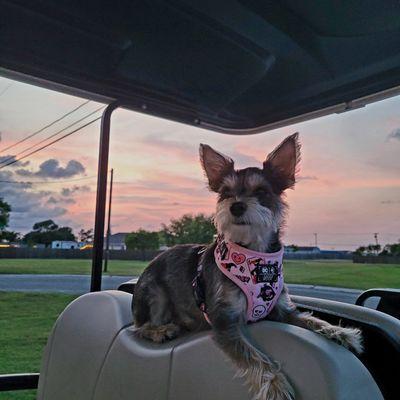 Photo of Melissa H.