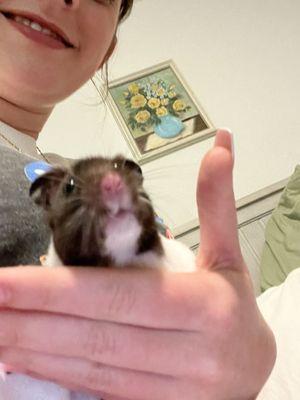 Photo of Parsley P.
