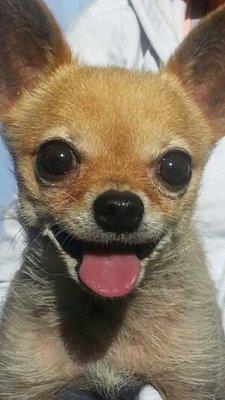 Photo of Tito B.