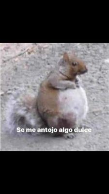 Photo of Marcos S.
