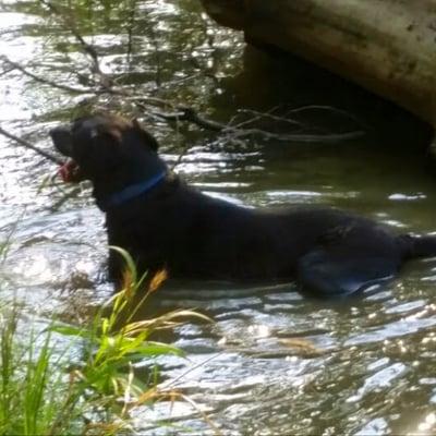 Photo of Rosemary H.