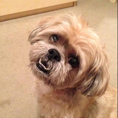 photo of Brittney S.