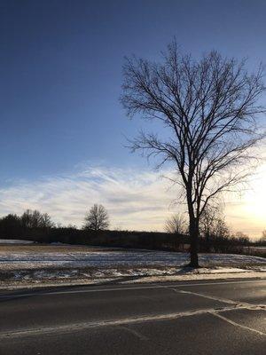 Photo of Elmont E.