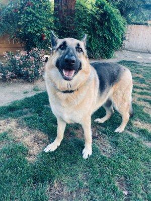 photo of Kimberly H.