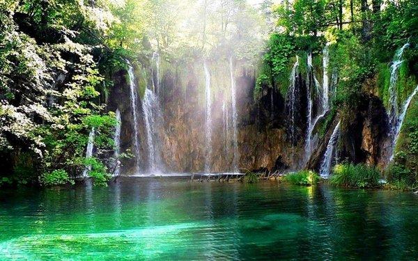 photo of Veronica P.