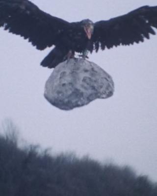 photo of NeonCoimbra ..