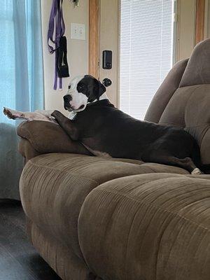 photo of Cheyenne W.