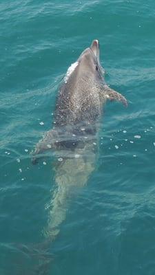 Photo of Marie Ali M.