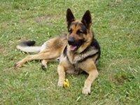 photo of Santiago N.