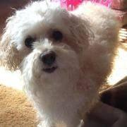 Photo of Bobbi D.