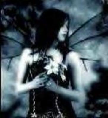 Photo of Kimber T.