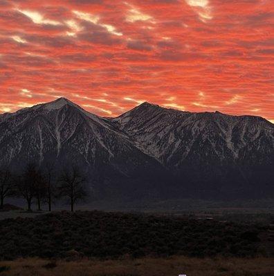 photo of Michelle C.