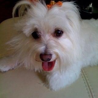 Photo of Lezlie S.