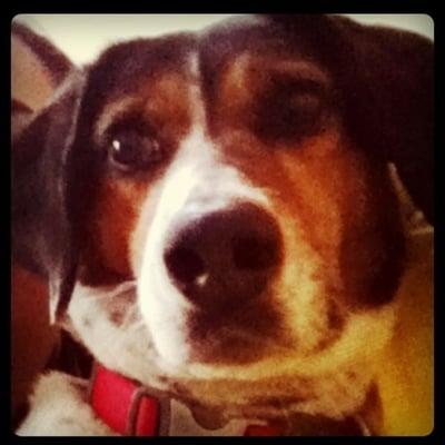 Photo of Veronica G.