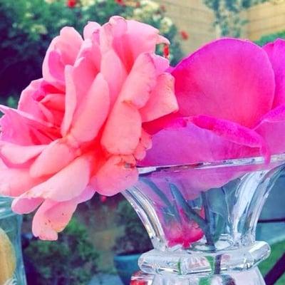 photo of Kristina V.