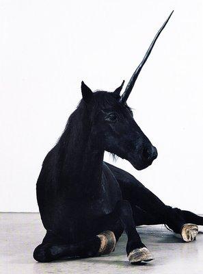 Photo of Chimere W.