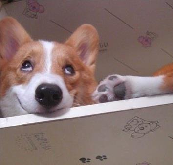 photo of Michelle Y.