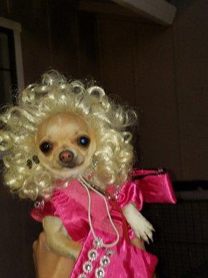 Photo of Tammy R.